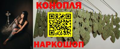 индика Изобильный