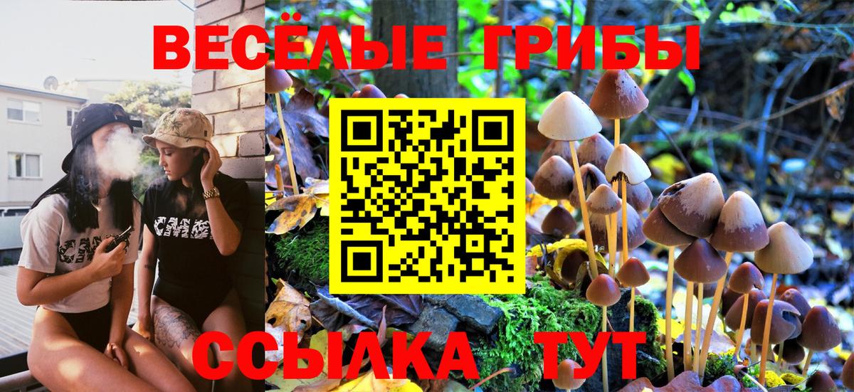 где продают наркотики  Вход с VPN  Лосино-Петровский  Псилоцибиновые грибы мухоморы 